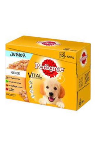 Pedigree Junior kapsička v želé mix 12x100g